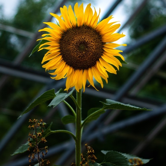 Meet your Posher, Amanda - Picture 1 of 1